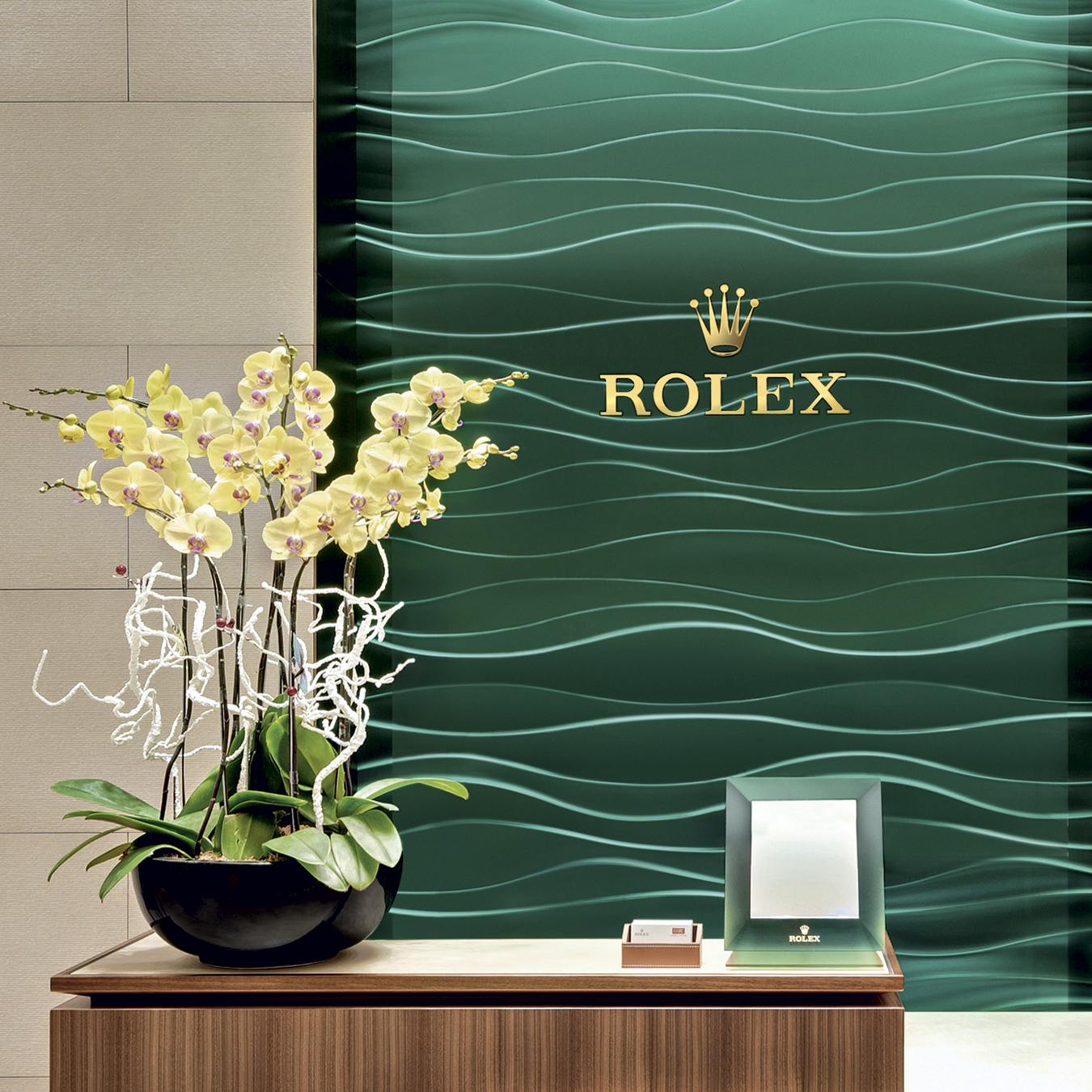 A WIDE ROLEX OFFERING